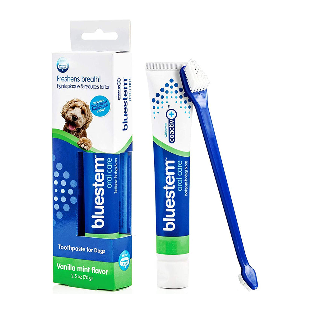 bluestem Vanilla Mint Toothpaste & Toothbrush for Dogs