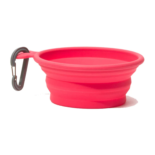 Messy Mutts Watermelon Silicone Collapsible Travel Bowl for Dogs
