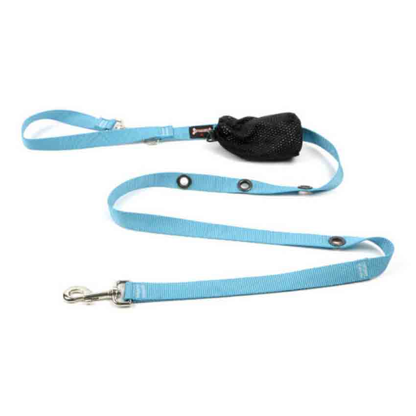 Smoochy Poochy Turquoise Nylon Hands Free Leash for Dogs