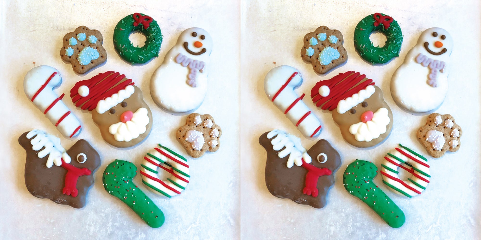 Bosco and Roxy's Christmas Cookies