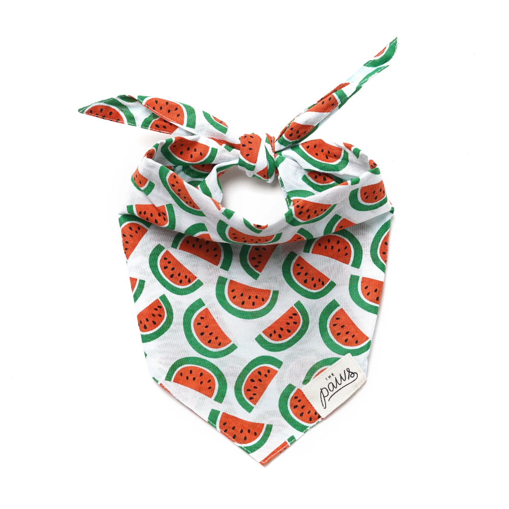 The Paws Melon Bandana for Dogs
