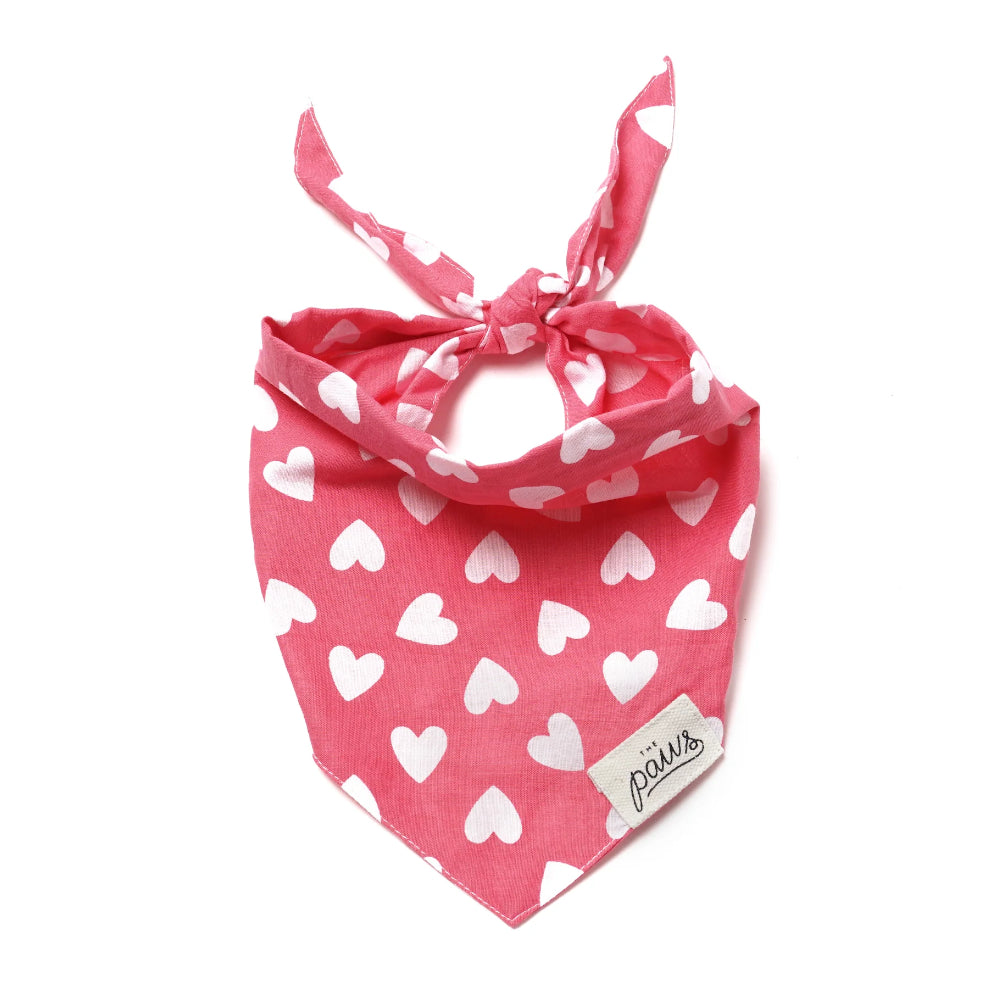 The Paws Whole Lotta Love Bandana for Dogs