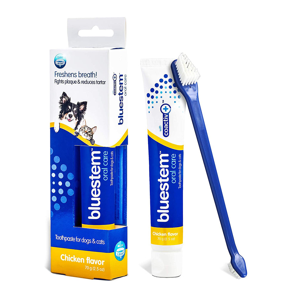bluestem Chicken Toothpaste & Toothbrush for Dogs & Cats