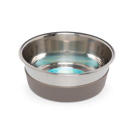 Messy Mutts Stainless Steel Bowl with Non-Slip Removable Silicone Base for Dogs
