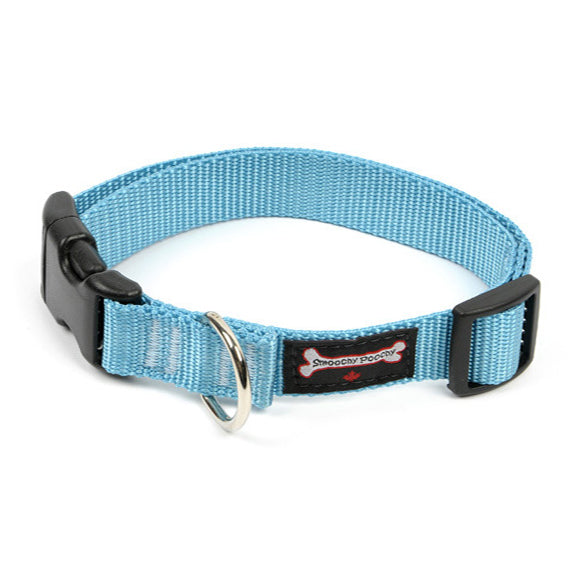 Smoochy Poochy Turquoise Nylon Collar for Dogs