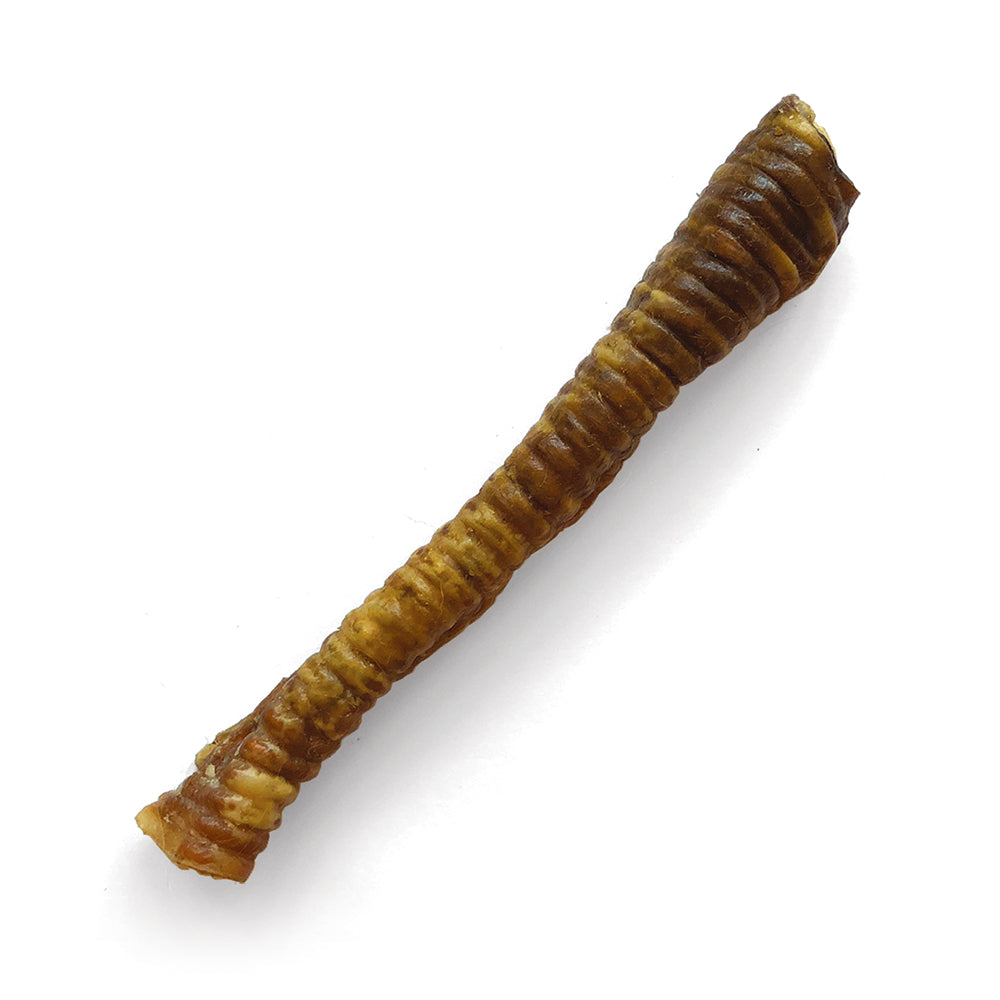 Sōl Lamb Trachea for Dogs