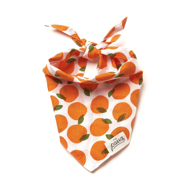 The Paws Fresh Pick Bandana for Dogs